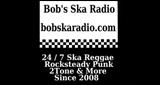 Bob&#39;s SKA Radio